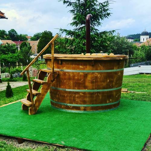Hostal Pensiunea Baron Bazna