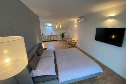Apartm�n Pod Ve?ou 1