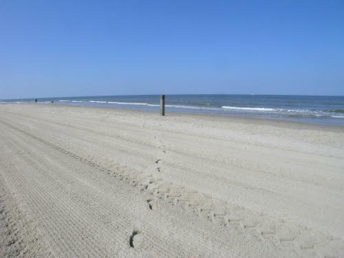 Apartamento Dorpsplein 23e - Callantsoog