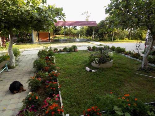 Hostal Dom U Morya Guest House