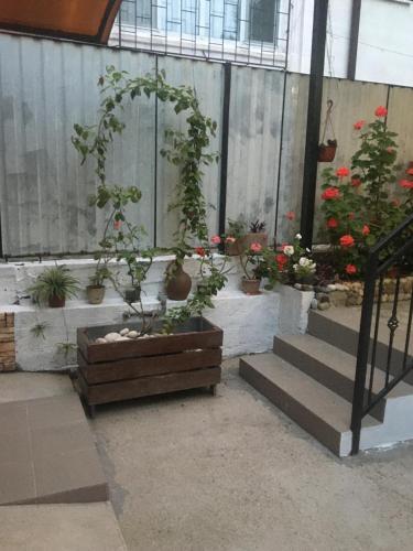 Hostal Guest House In Novy Afon