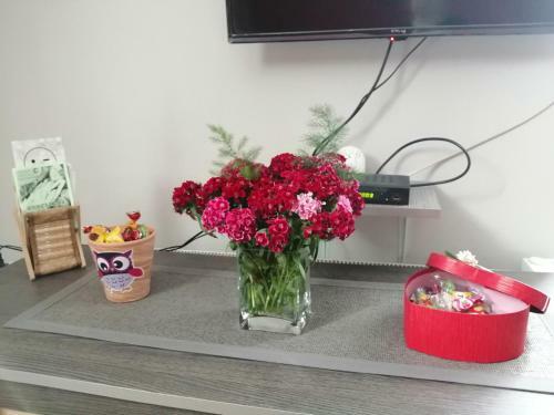 Apartman Red Wall