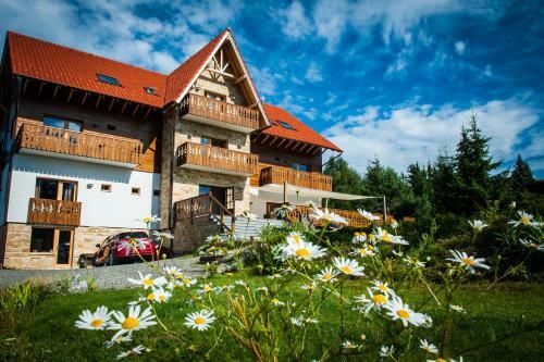 Hostal Pensiunea Colt De Rai