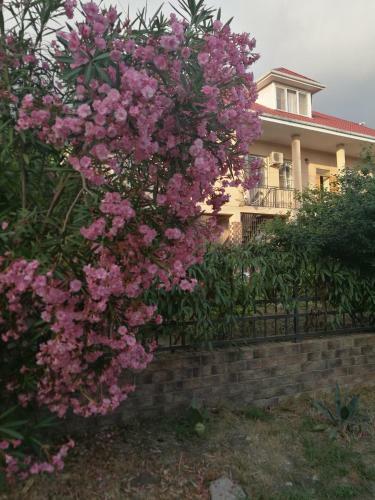 Hostal Guest House Villa Roza