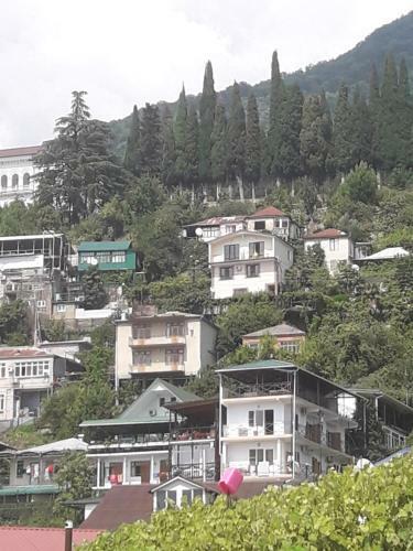 Hostal Guest House Teremok