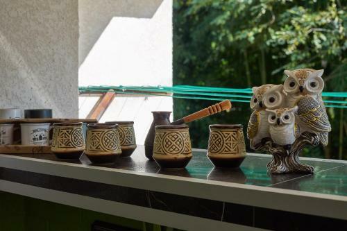 Posada Gnezdo Beloy Sovy Mini Hotel