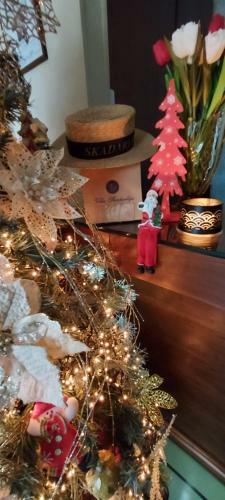 Hostal Villa Skadarlija