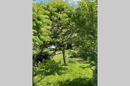 Apartamento Casa Drencova