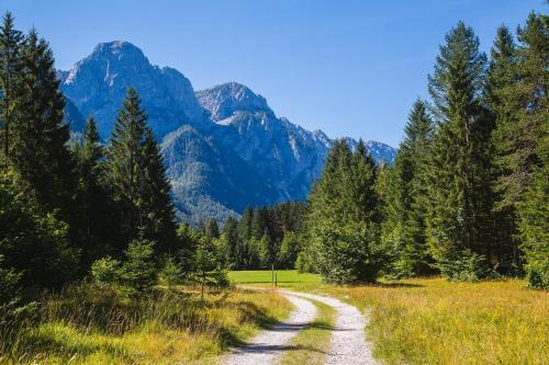 Po?itni?ka Hi?a Radovna