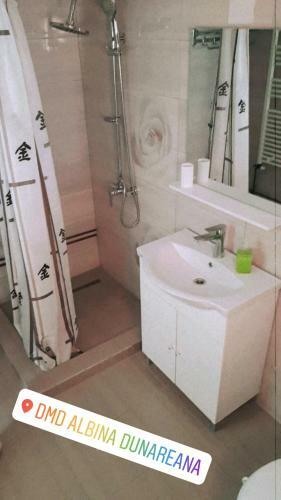 Hostal Albina Dunareana