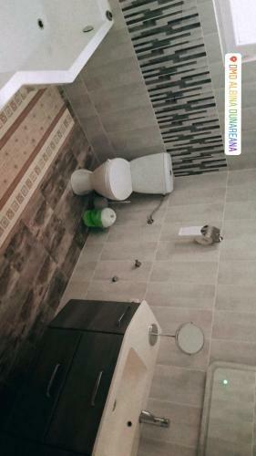Hostal Albina Dunareana