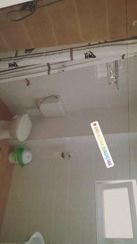 Hostal Albina Dunareana