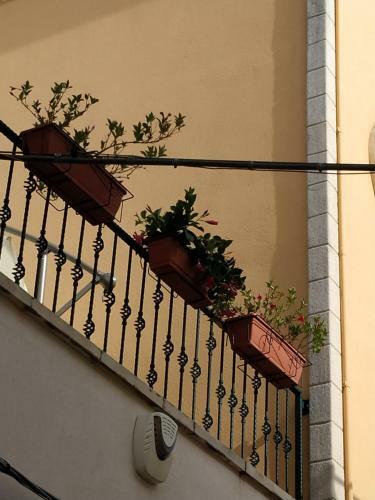 Bed & Breakfast Il Vicoletto