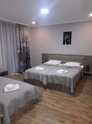 Hotel Mestia Plaza