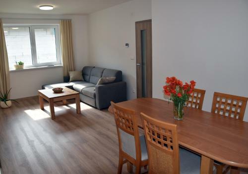 Apartamento Elemir