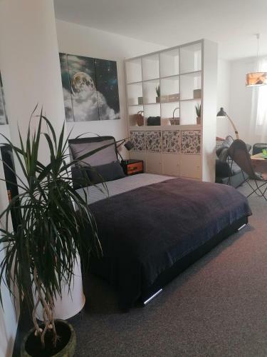 Apartman 11 Mymara