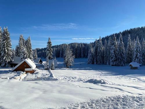Chalet Ivi