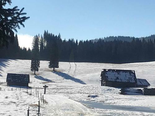 Chalet Stara Jelka Pokljuka