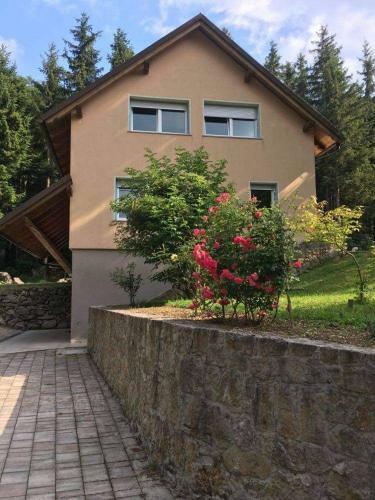 Apartmaji Velikonja