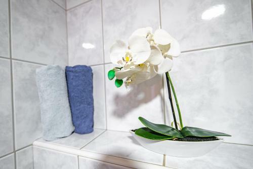 Hostal Slovenian Traditional Guest House
