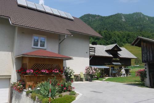 Hostal Apartments - Glamping Encijan