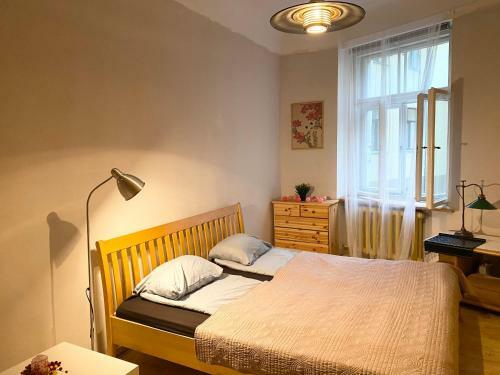 Cosy Apartment