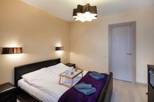Old Riga Kaleju One Bedroom Apartment With Terrace