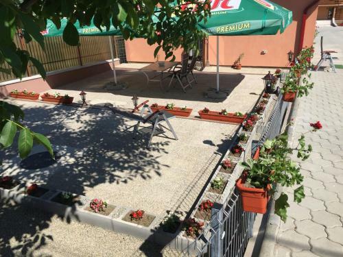 Hotel Pensiune Casamircea