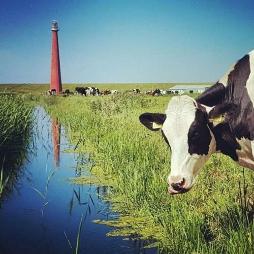 Bed & Breakfast Overnachten Onder De Lange Jaap