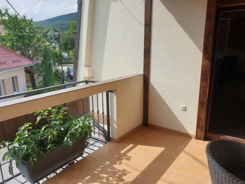 Apartm�ny U Zbojnika Zabojnika