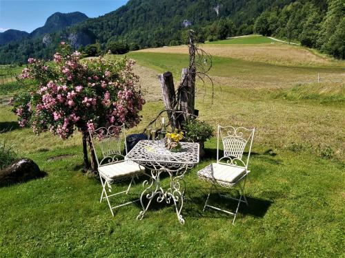 Apartamento Green Paradise