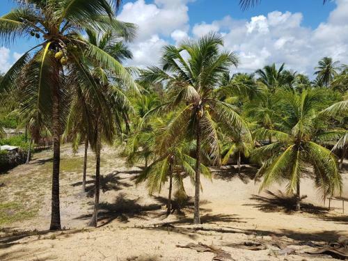 Apartamento Rosagash Paradise - Praia de Santo Antonio