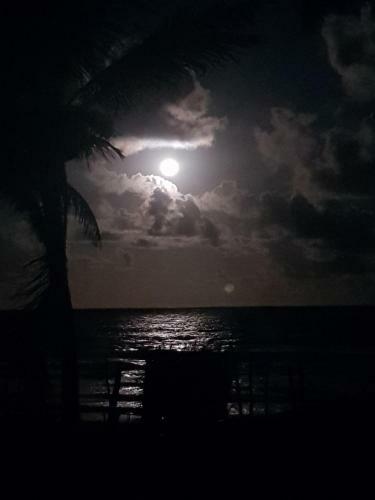 Apartamento Rosagash Paradise - Praia de Santo Antonio