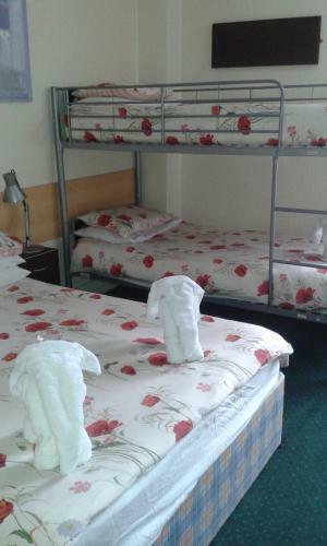 Hostal Seasons 24 Guest House