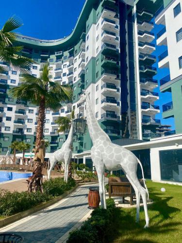 Apartamento Serenity Residence ? ??????????????? 5 ????? 2 ???????