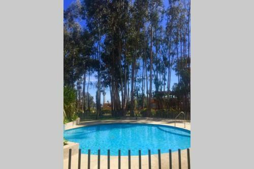 Apartamento Hermoso Departamento Algarrobo Norte