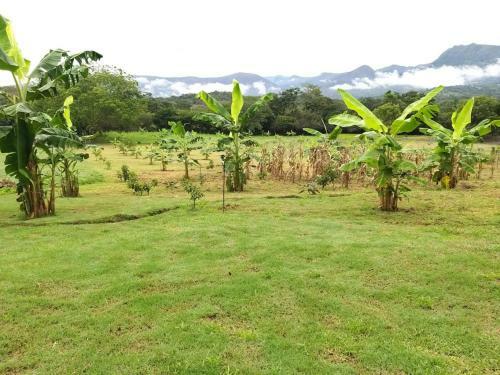 Finca La Esperanza