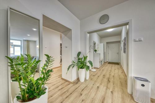 Le Monde Apartment Bratislava - Amazing 5bdr In Downtown