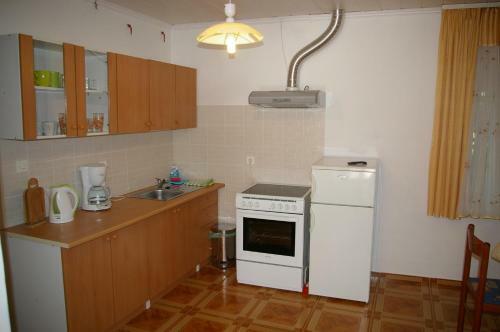 Hostal Apartmaji Pri Kokolu