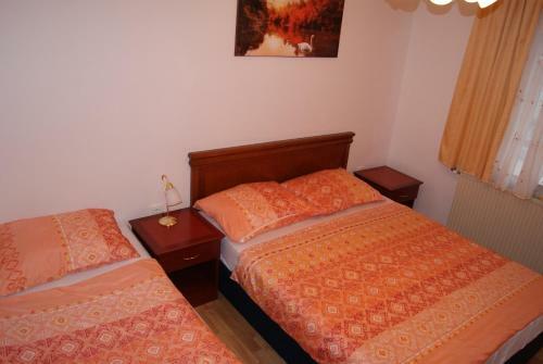 Hostal Apartmaji Pri Kokolu
