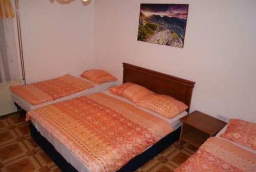 Hostal Apartmaji Pri Kokolu