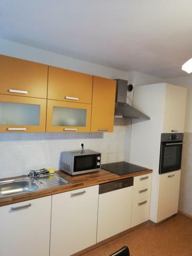 Hostal Apartmaji Pri Kokolu