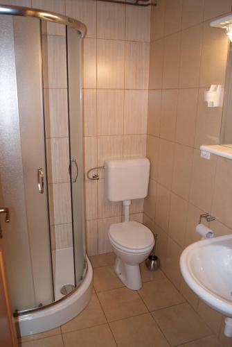 Hostal Apartmaji Pri Kokolu