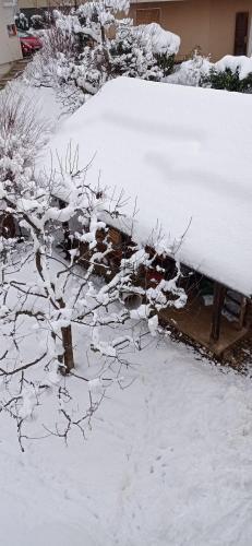 Apartments Kapus Center