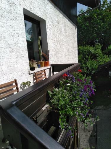 Apartments Kapus Center