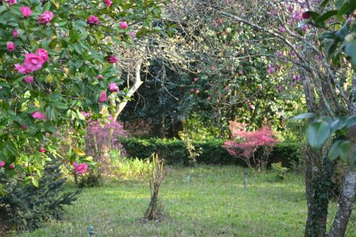 Bed & Breakfast Quinta D'av� Am�lia