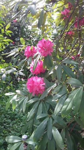 Bed & Breakfast Quinta D'av� Am�lia