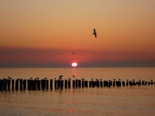 Apartamento Knusse Vakantiewoning Domburg Do04