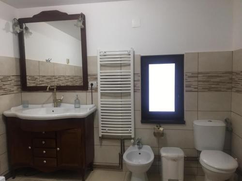 Hostal Pensiunea Casa Firuta Borsa