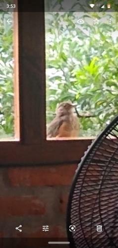 Casa En El Bosque Peralta Ramos Para Vacacionar